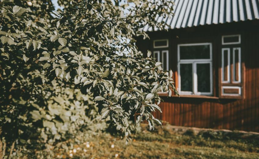 Kraina-Otwartych-Okiennic-2