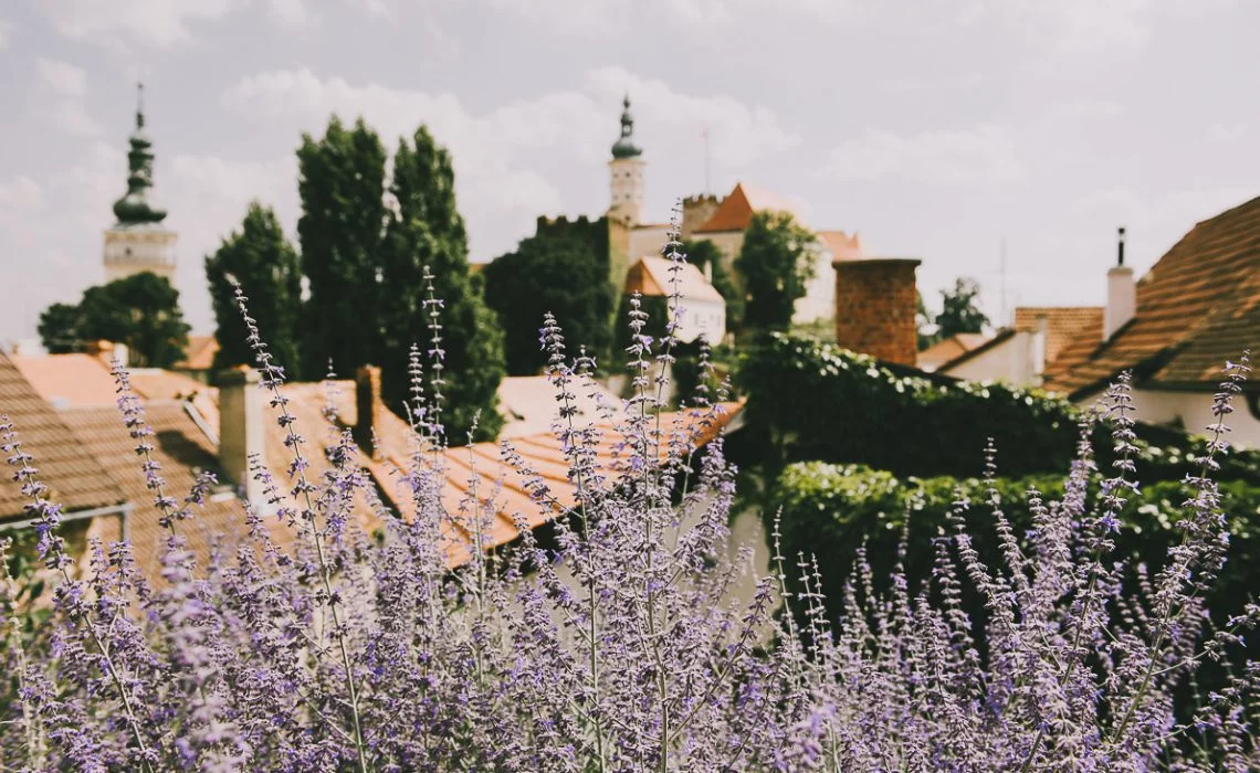 Największe atrakcje Moraw Południowych, czyli czeska Toskania.