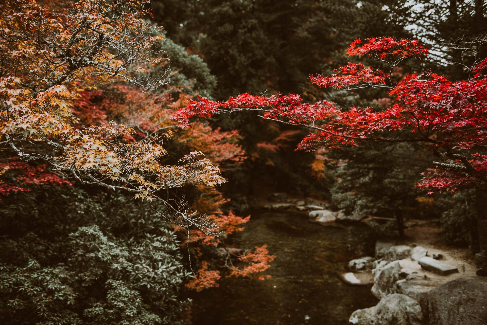 Japonia jesienią - zdjęcia