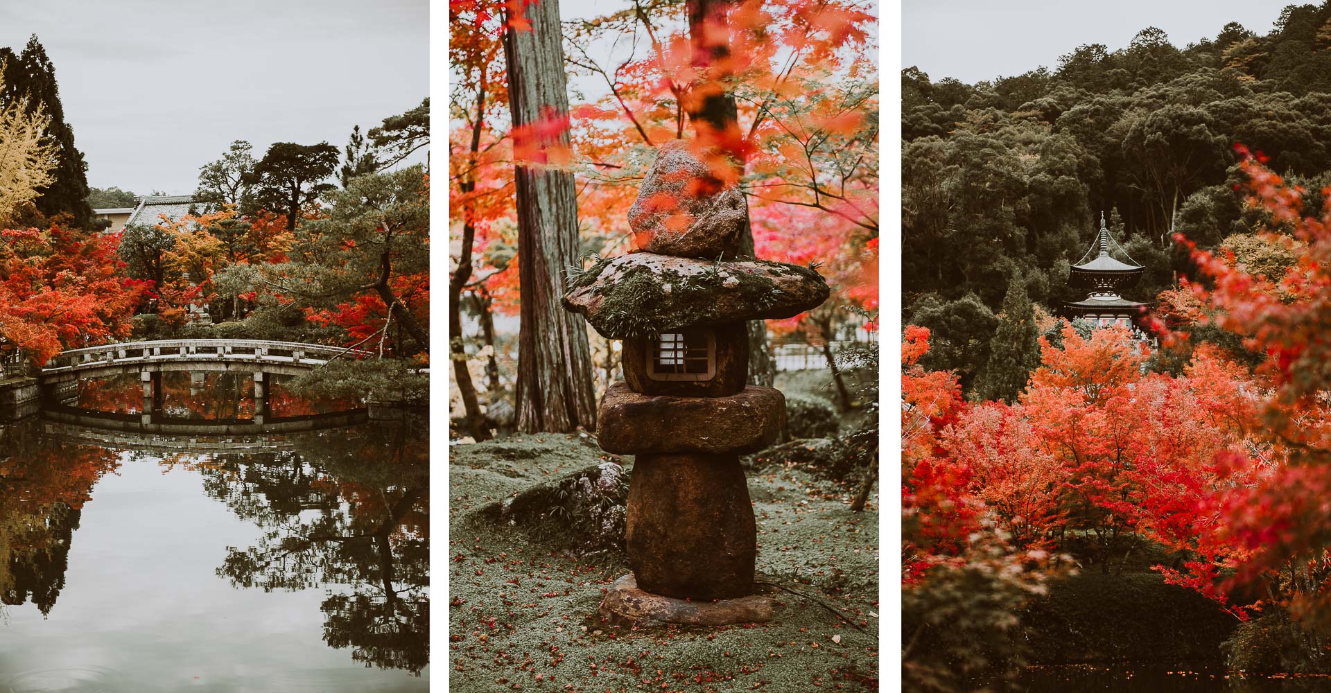 Japonia jesienią - zdjęcia klony