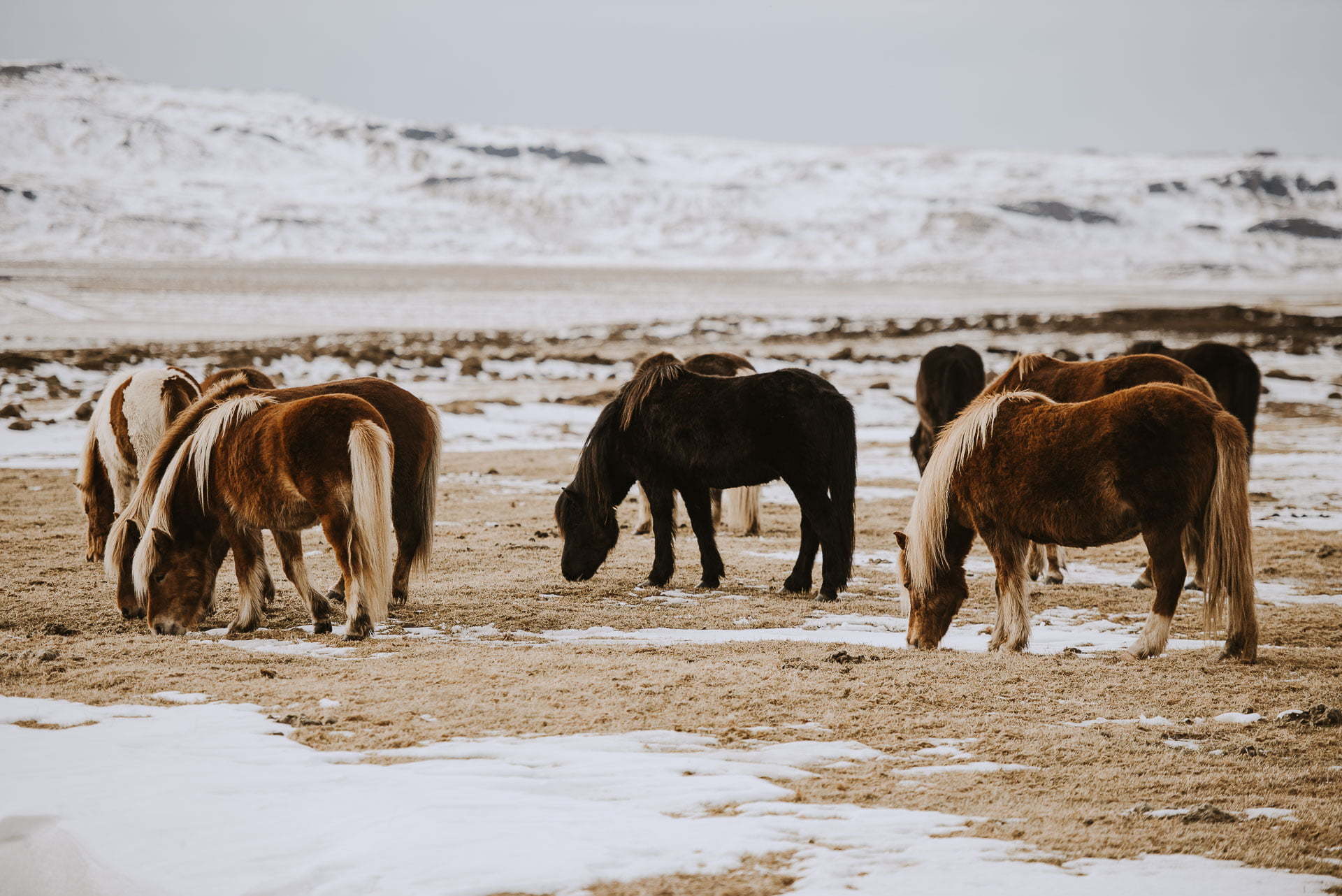 Podsumowanie 2019 roku Martyna Soul Blog - Islandia