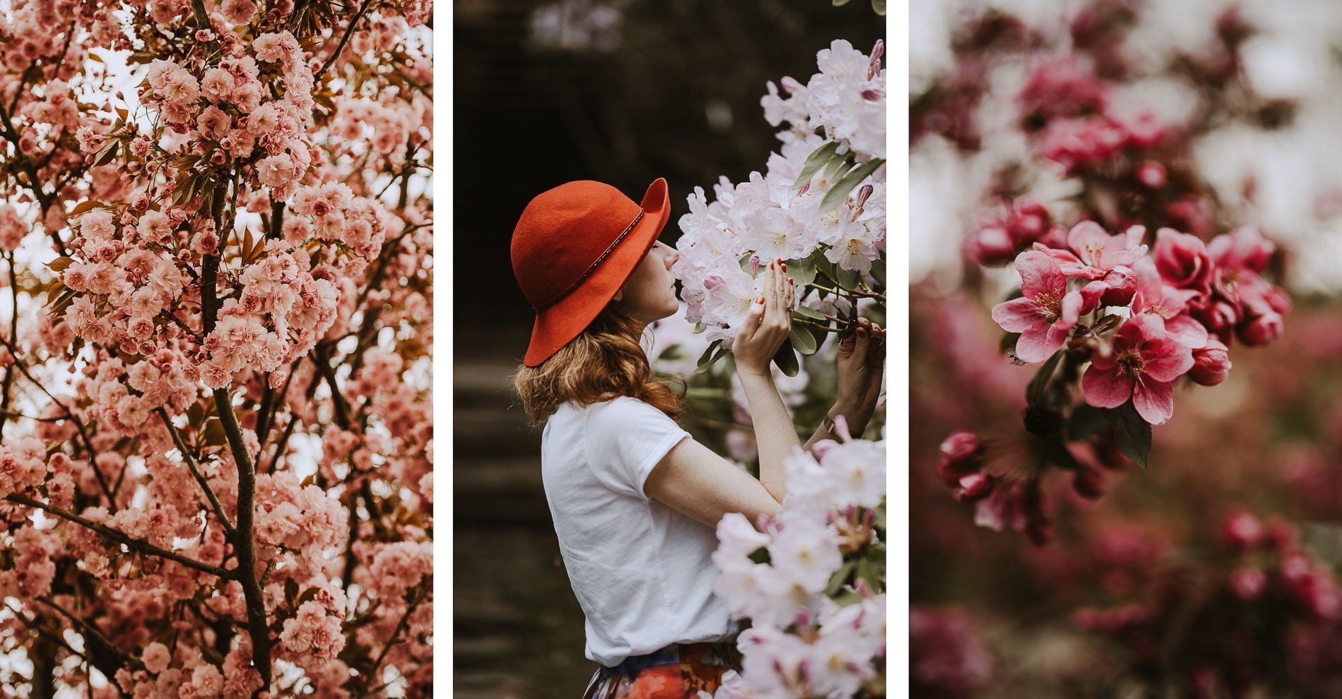 Wiosenne zdjęcia - kwiaty