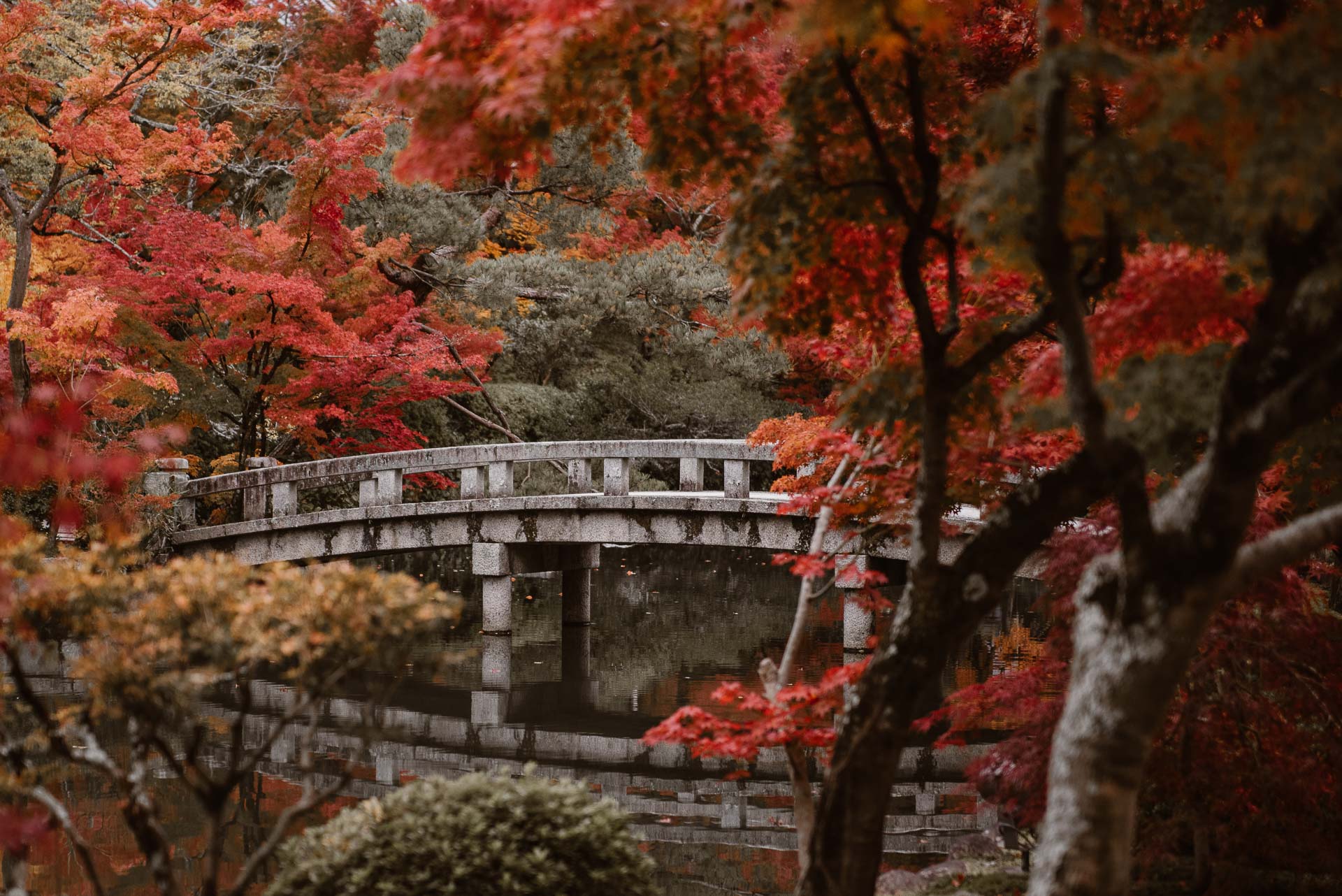 Jesień w Japonii 