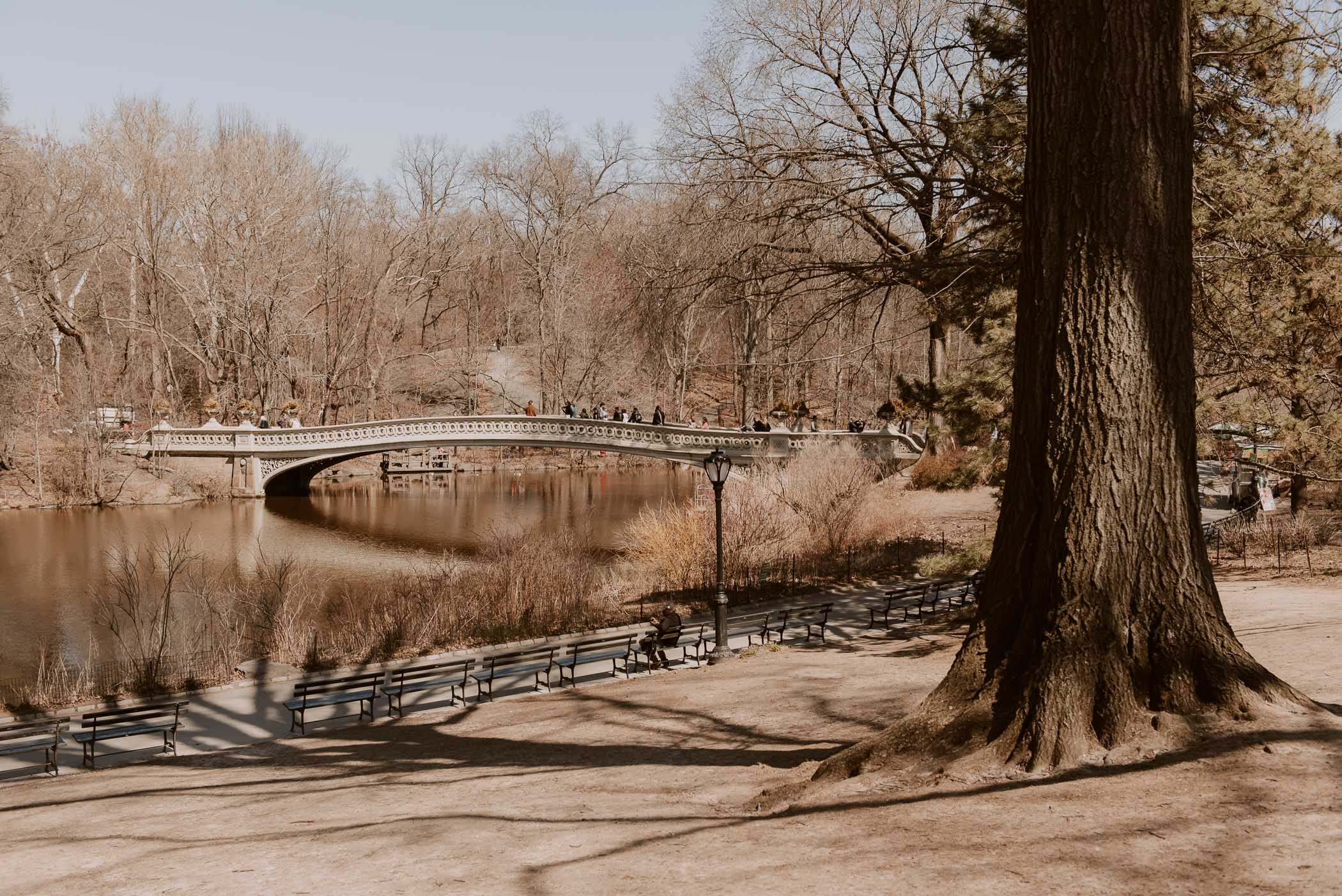 Central Park, Nowy Jork 