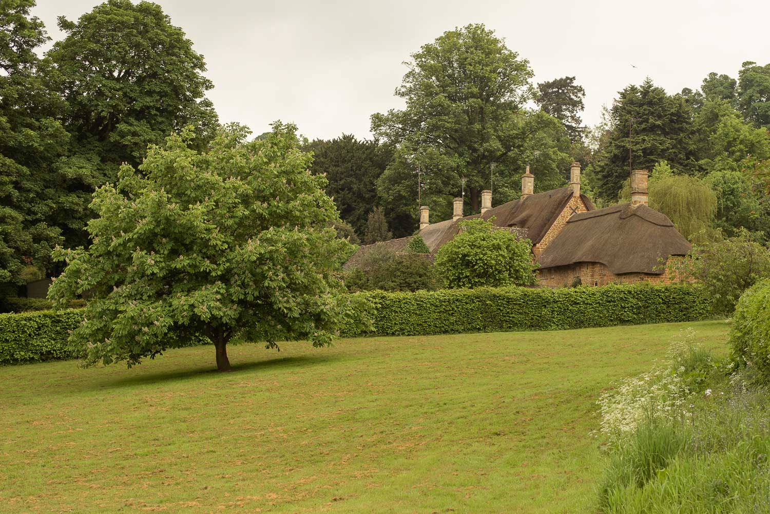 GREAT TEW ANGLIA COTSWOLDS 