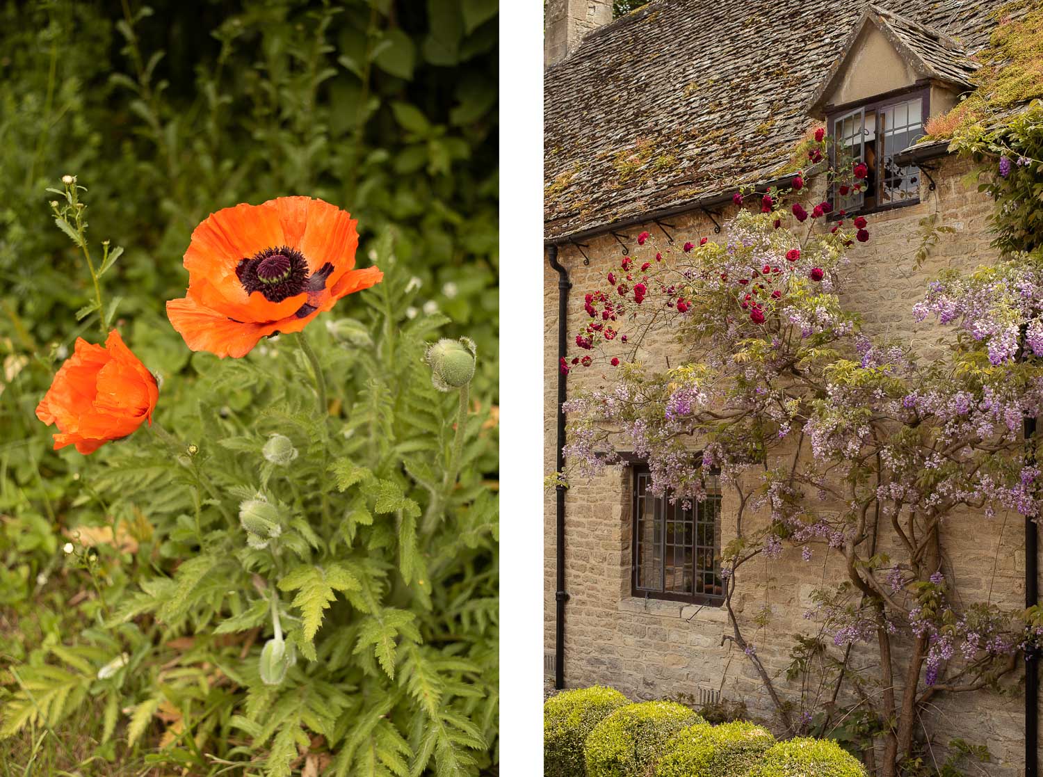 MINSTER LOVELL ANGLIA Cotswolds