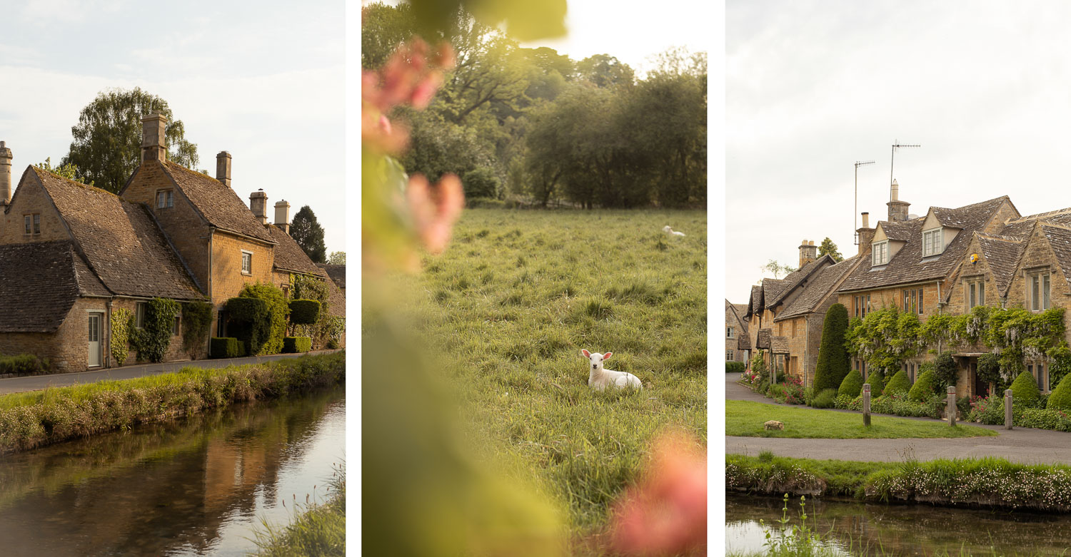 Cotswolds W ANGLII 