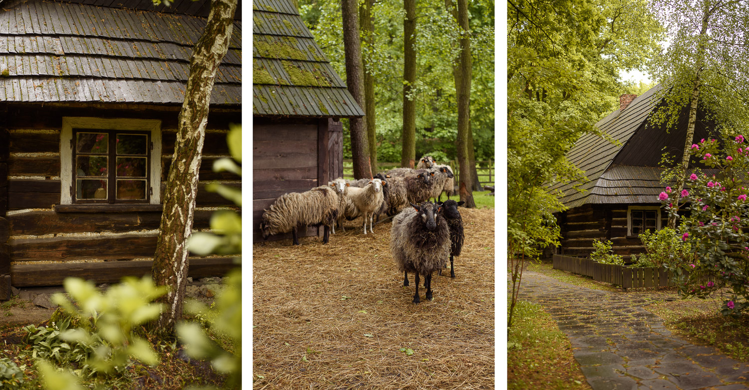 SKANSEN - ZAGRODA WSI PSZCZYŃSKIEJ