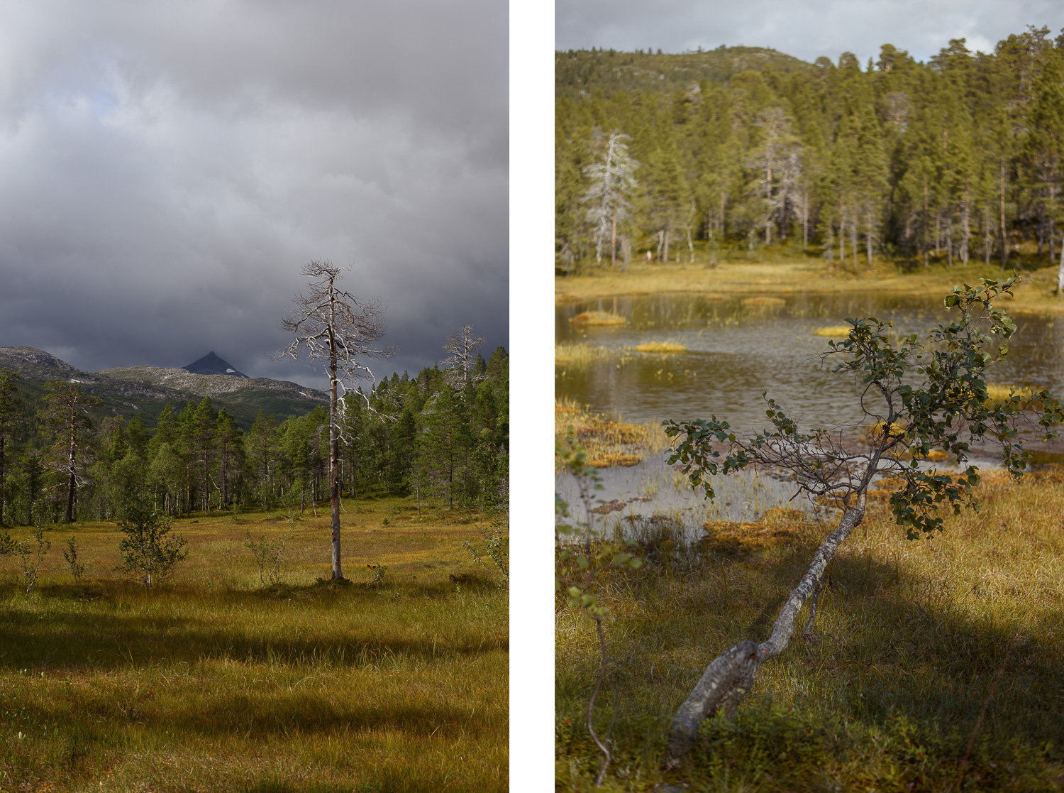 PARK NARODOWY ANDERDALEN