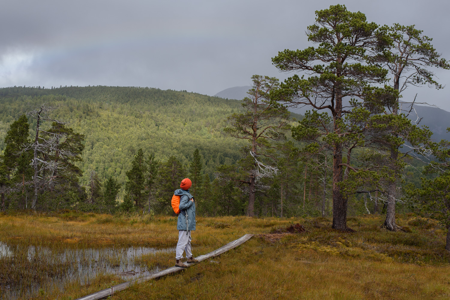 PARK NARODOWY ANDERDALEN
