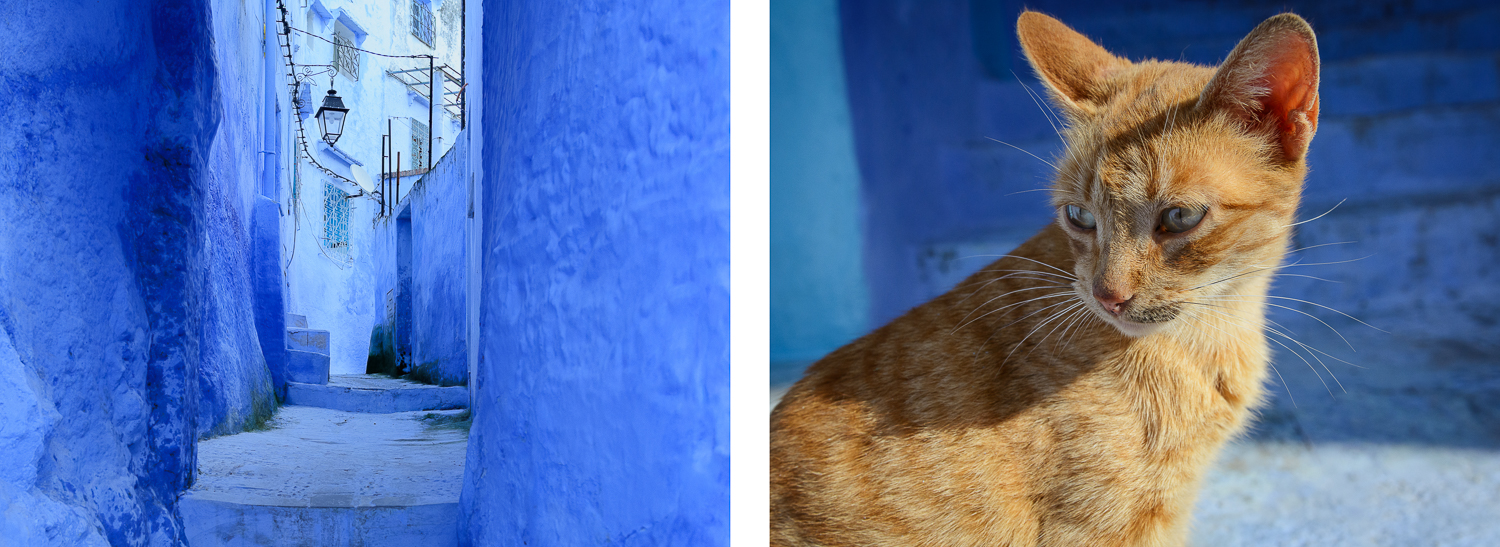 Maroko Niebieskie Miasto Chefchaouen