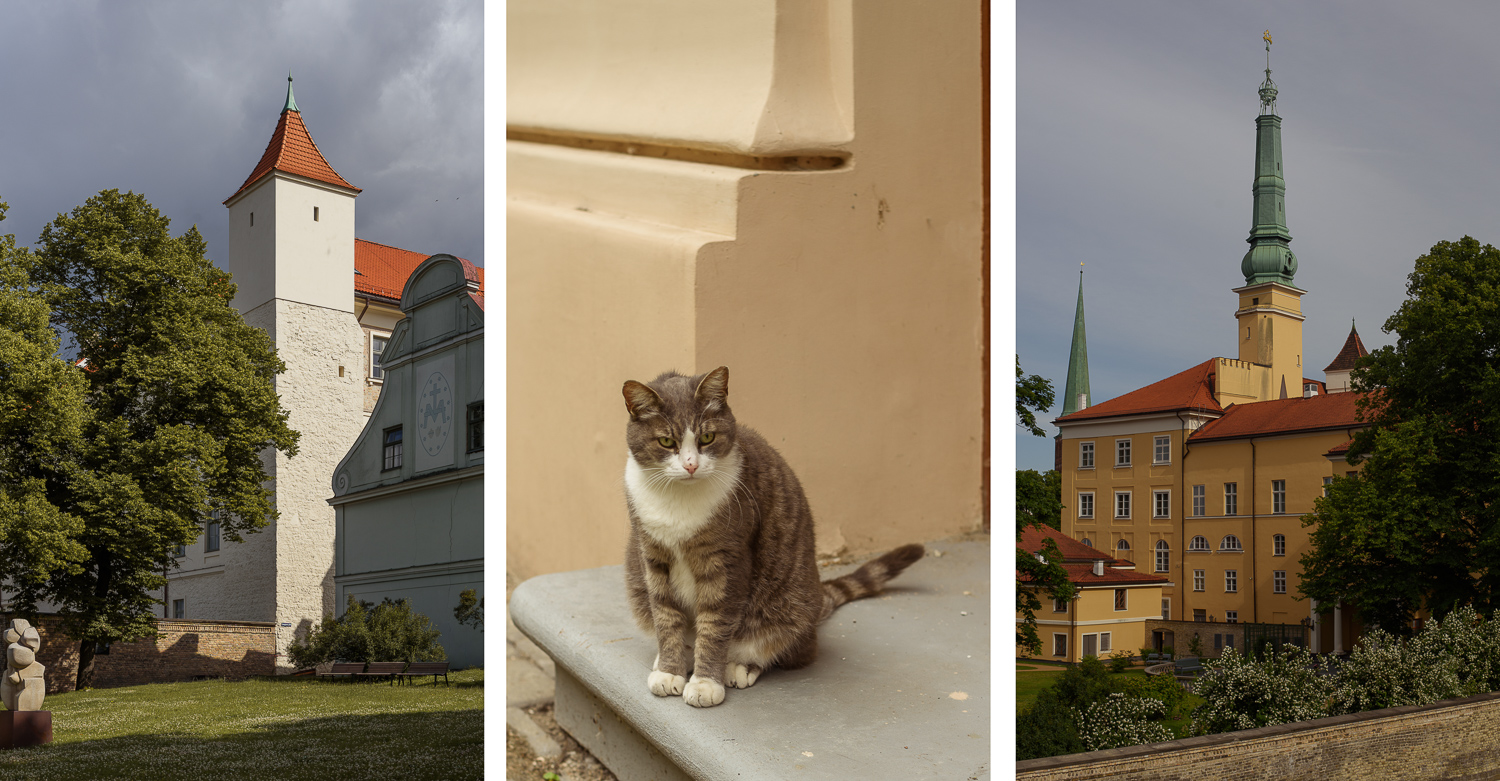 ZAMEK W RYDZE ATRAKCJE