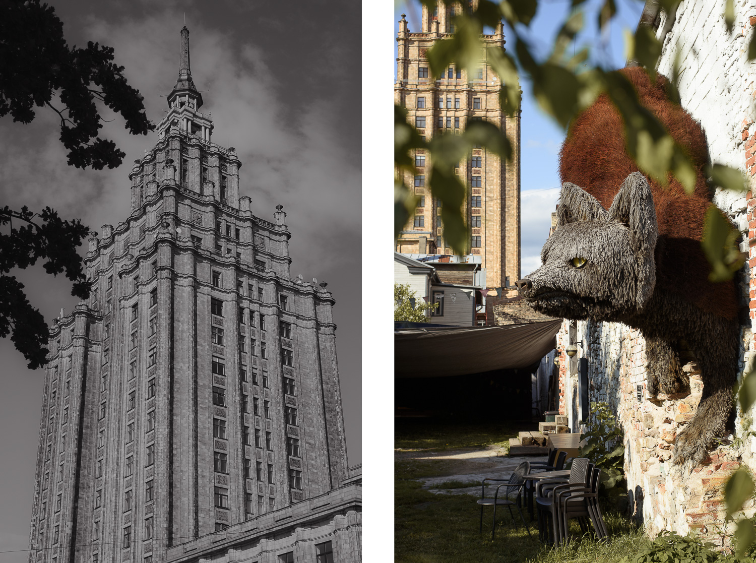 ŁOTEWSKA AKADEMIA NAUK I LISIA INSTALACJA